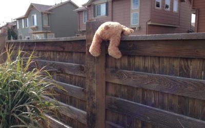 Sitting On The Fence Hurts Your Heart