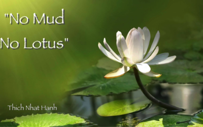 No Mud, No Lotus